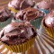 Double Chocolate Cupcakes